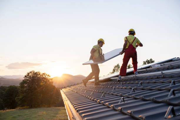 Best Roof Moss and Algae Removal  in El Rancho, NM