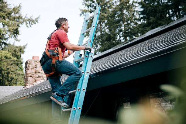 Steel Roofing in El Rancho, NM