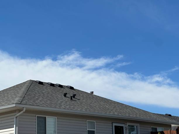 Best 4 Ply Roofing  in El Rancho, NM